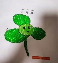 绿色三叶草植物|简笔画|素描|涂鸦|涂颜色