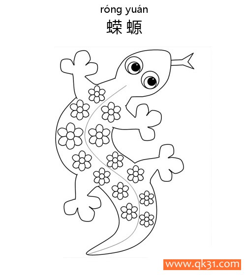 Salamander蝾螈(两栖动物，形似蜥蜴)简笔画