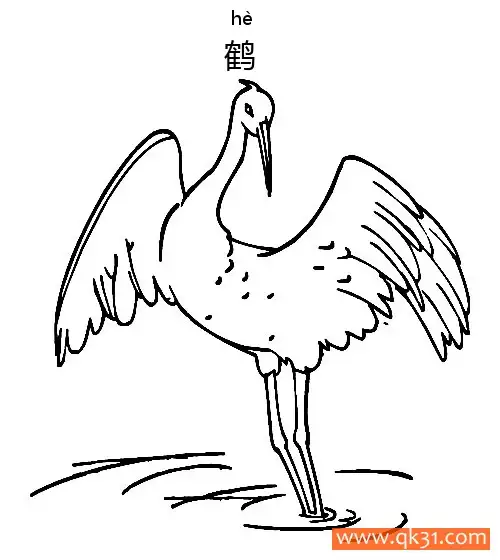 免费 鹤-crane 简笔画涂色页