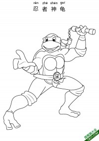 忍者神龟  Teenage Mutant Ninja Turtles