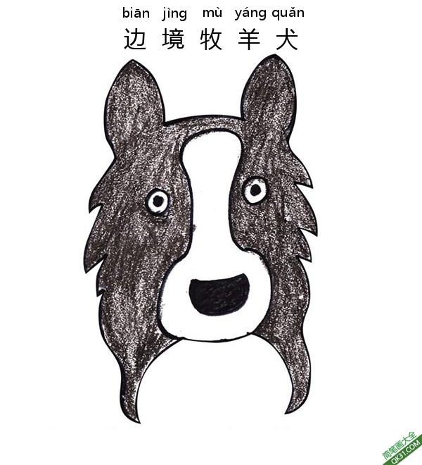 如何为孩子们画一张边境牧羊犬的脸简笔画