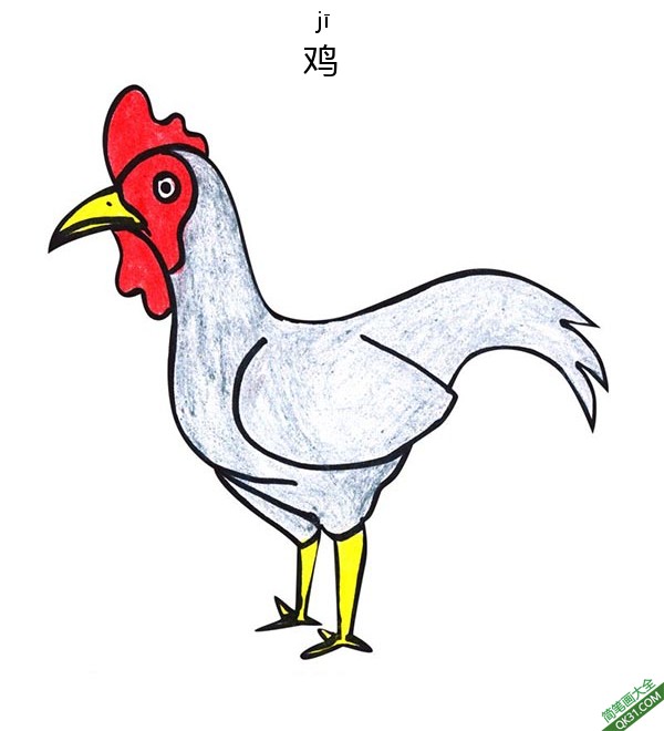 怎样教孩子们一步步画一个 卡通鸡Chicken简笔画
