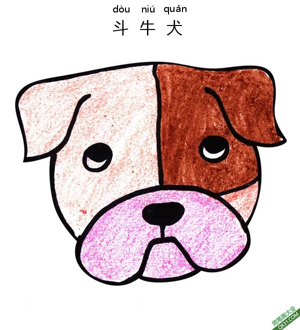 如何给孩子画一张斗牛犬脸Bull Dog Face简笔画
