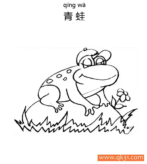 免费 青蛙 frog 两栖动物 简笔画涂色页