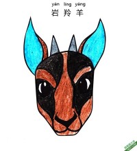 如何给孩子画岩羚羊脸Chamois Face|简笔画|素描|涂鸦|涂颜色