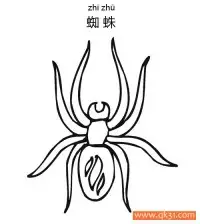 蜘蛛Spider蛛形纲动物 – 免费可打印简笔画涂色画