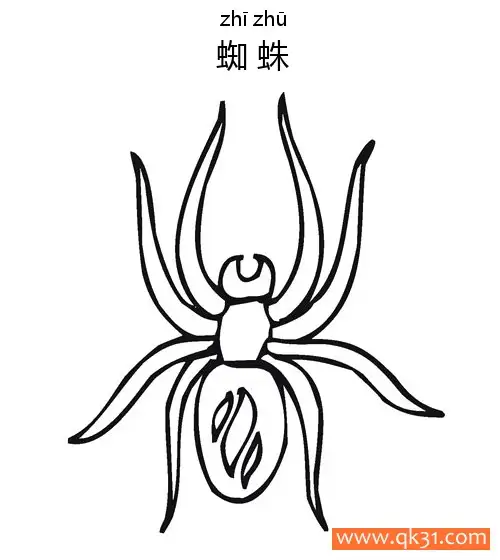 免费 蜘蛛Spider蛛形纲动物 简笔画涂色页