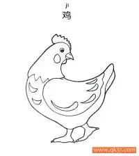 鸡-hen – 免费可打印简笔画涂色画