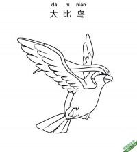 大比鸟 ピジョット Pidgeot宝可梦|简笔画|素描|涂鸦|涂颜色