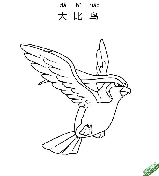 免费 大比鸟 ピジョット Pidgeot宝可梦 简笔画涂色页