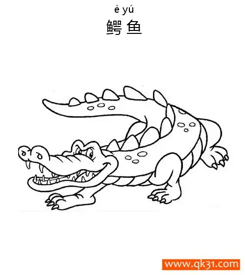 免费 鳄鱼 Crocodile 两栖动物Amphibians 简笔画涂色页