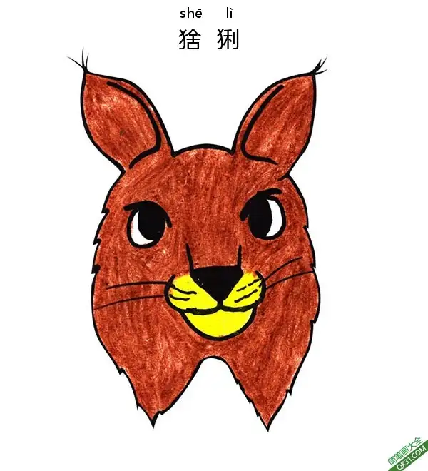 如何为孩子们画一张猞猁的脸Lynx face简笔画涂色画 – 为儿童和成人提供的免费可打印简笔画涂色画