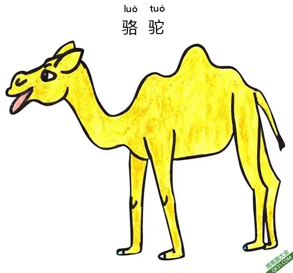免费 怎样教孩子们一步步画一个卡通骆驼Cartoon Camel 简笔画涂色页