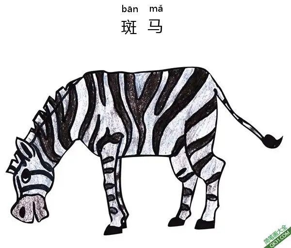 免费 怎样教孩子们一步步画一个 卡通 斑马Zebra 简笔画涂色页