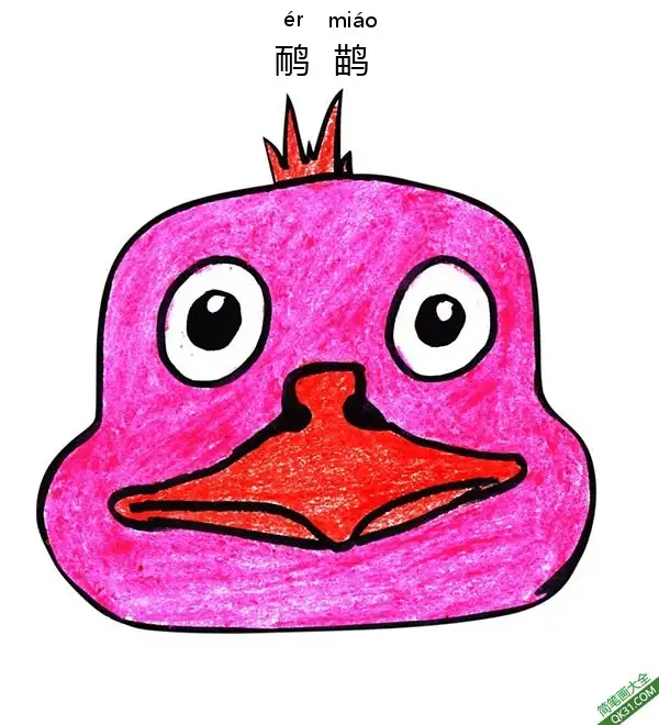 怎样教孩子画一张小鸟、鸸鹋脸Emu简笔画涂色画 – 为儿童和成人提供的免费可打印简笔画涂色画