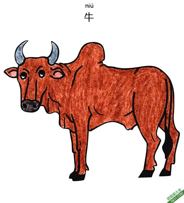 免费 怎样教孩子们一步步画一个 卡通牛Zebu 简笔画涂色页