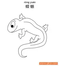 Salamander蝾螈(两栖动物，形似蜥蜴) – 免费可打印简笔画涂色画