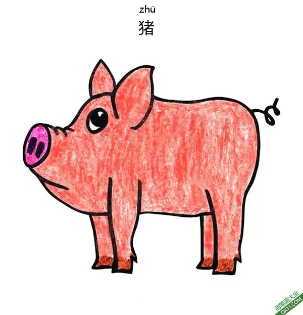 免费 怎样教孩子们一步步画一个 卡通猪Cartoon Pig 简笔画涂色页