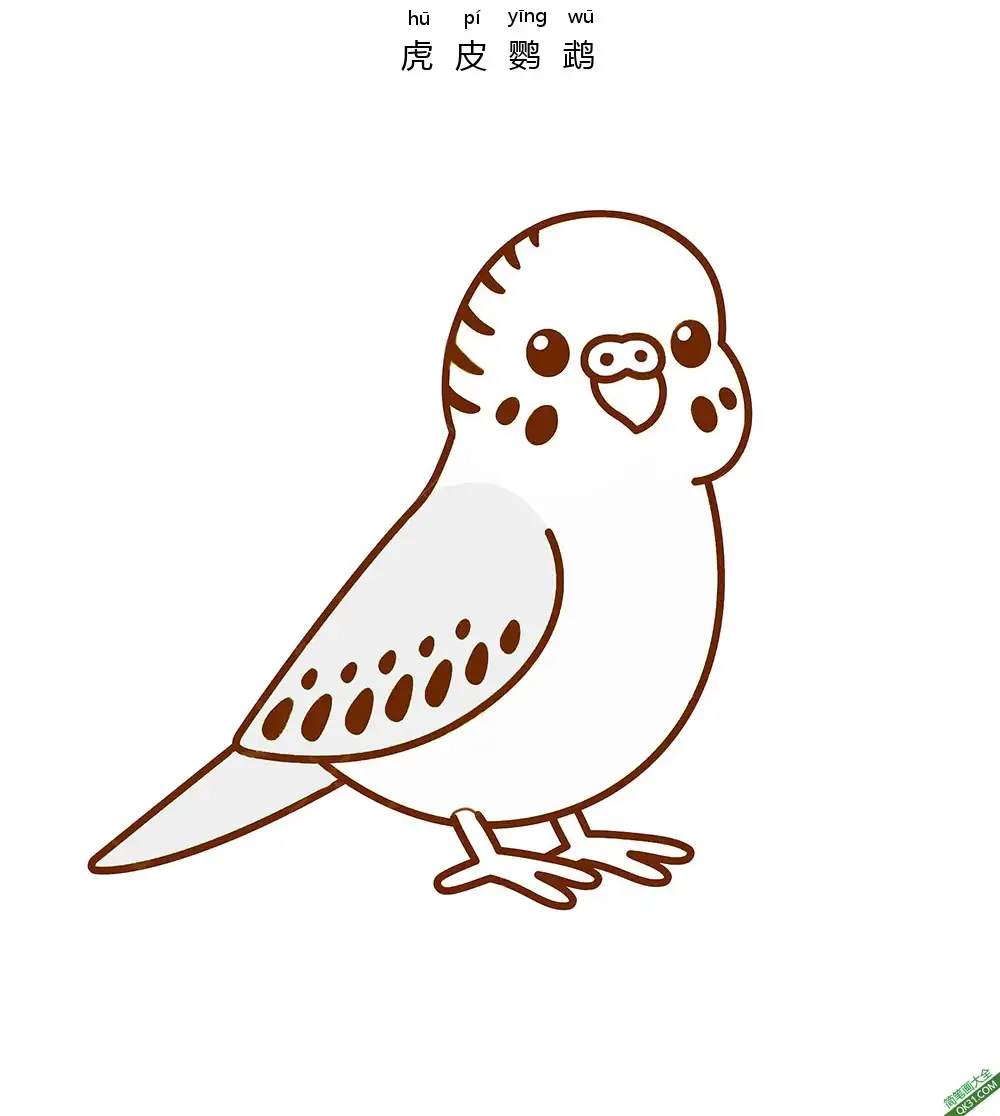 虎皮鹦鹉 budgerigar 鹦鹉 parrot简笔画涂色画 – 为儿童和成人提供的免费可打印简笔画涂色画