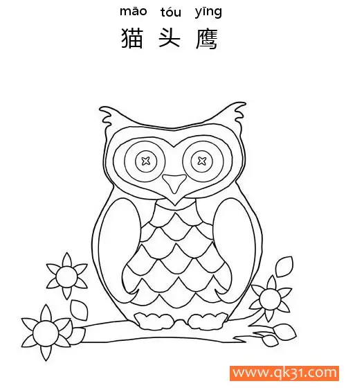 免费 猫头鹰 简笔画涂色页