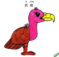 怎样教孩子们一步步画一个 卡通 秃鹰 Vulture – 免费可打印简笔画涂色画