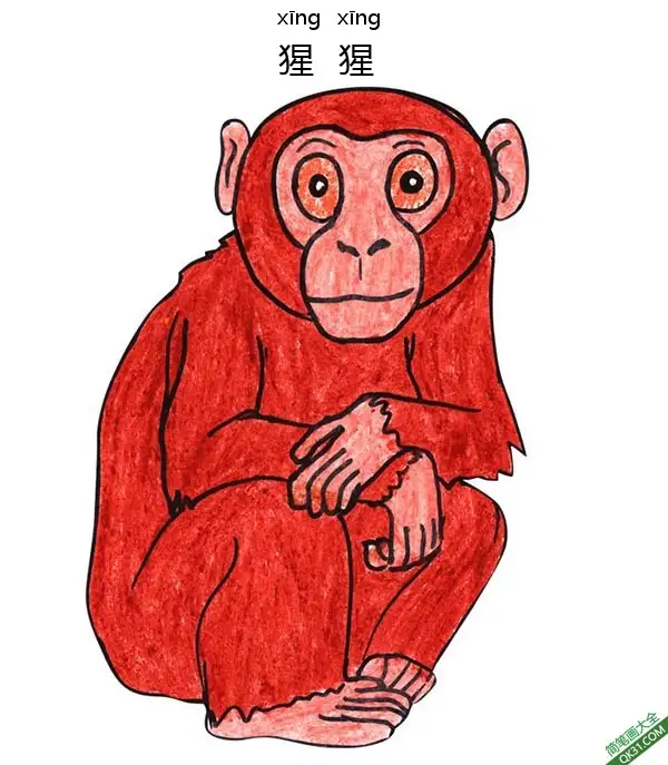 免费 怎样教孩子们一步步画一个 卡通 猴子 猩猩monkey 简笔画涂色页