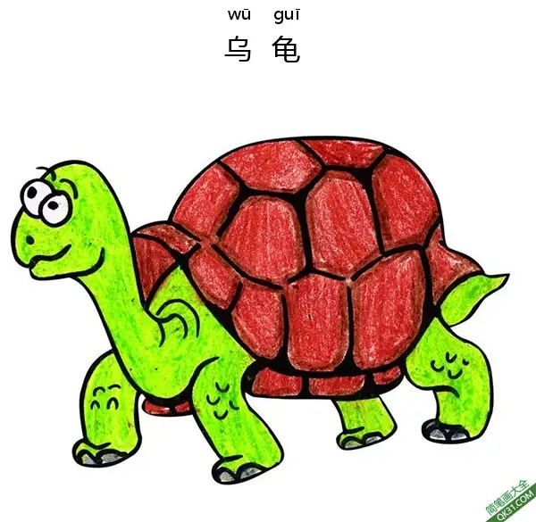 免费 怎样教孩子们一步步画一个 卡通乌龟Tortoise 简笔画涂色页
