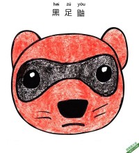如何给孩子画一张黑足鼬脸 Black-Footed Ferret Face|简笔画|素描|涂鸦|涂颜色
