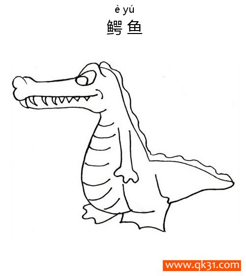 鳄鱼 Crocodile 两栖动物Amphibians简笔画