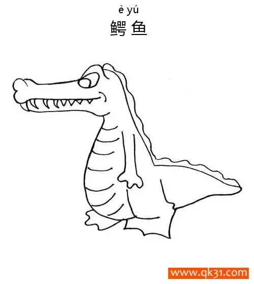 免费 鳄鱼 Crocodile 两栖动物Amphibians 简笔画涂色页