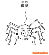 蜘蛛Spider蛛形纲动物 瘦腿先生|简笔画|素描|涂鸦|涂颜色