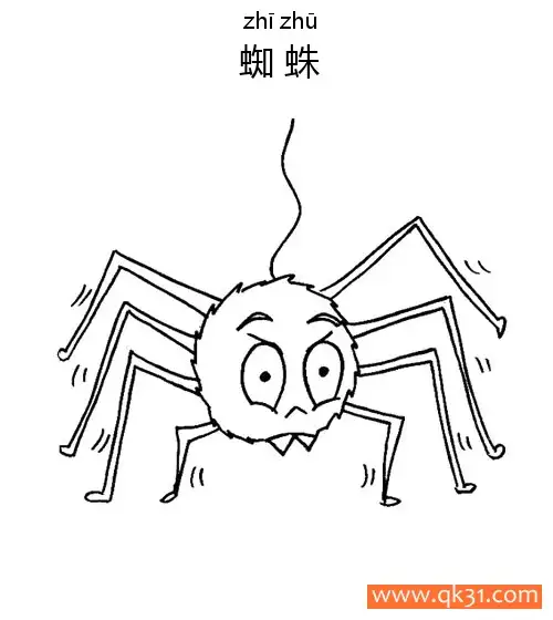 免费 蜘蛛Spider蛛形纲动物 瘦腿先生 简笔画涂色页