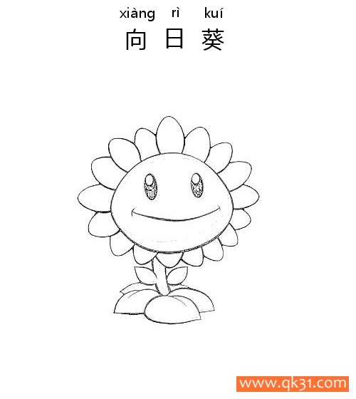 植物大战僵尸-向日葵简笔画