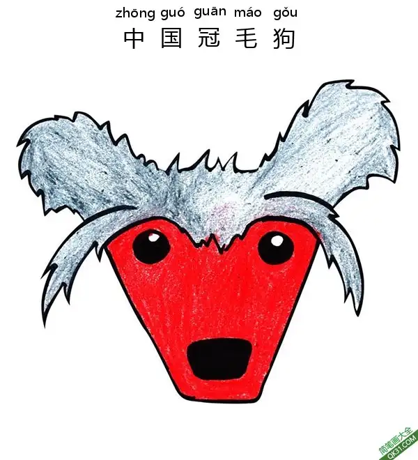 如何为孩子们画一个中国冠毛狗脸Chinese Crested简笔画涂色画 – 为儿童和成人提供的免费可打印简笔画涂色画