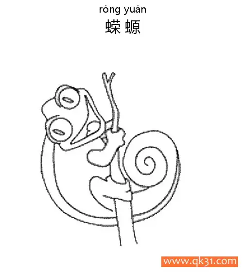 免费 Salamander蝾螈(两栖动物，形似蜥蜴) 简笔画涂色页