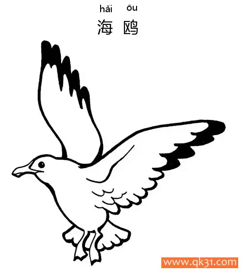 免费 海鸥-Seagull 简笔画涂色页