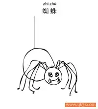 蜘蛛Spider蛛形纲动物 – 免费可打印简笔画涂色画