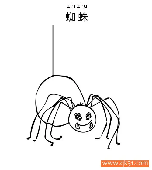 蜘蛛Spider蛛形纲动物简笔画涂色画 – 为儿童和成人提供的免费可打印简笔画涂色画