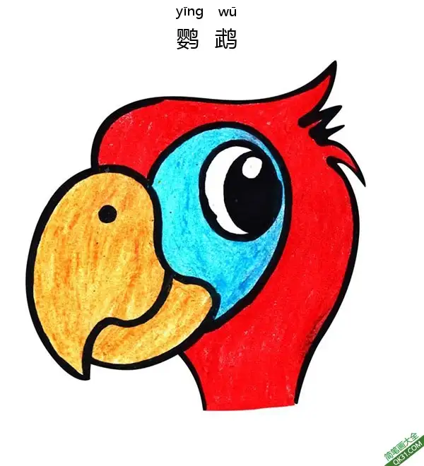 怎样教孩子画鹦鹉脸Parrot Face简笔画涂色画 – 为儿童和成人提供的免费可打印简笔画涂色画