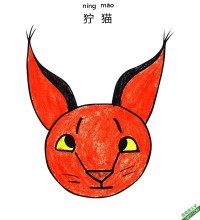如何给孩子画一张狞猫脸Caracal face|简笔画|素描|涂鸦|涂颜色