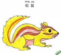 怎样教孩子们一步步画一个 卡通松鼠 Chipmunk|简笔画|素描|涂鸦|涂颜色