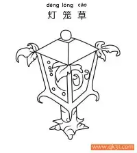 植物大战僵尸- Plantern 灯笼草 – 免费可打印简笔画涂色画