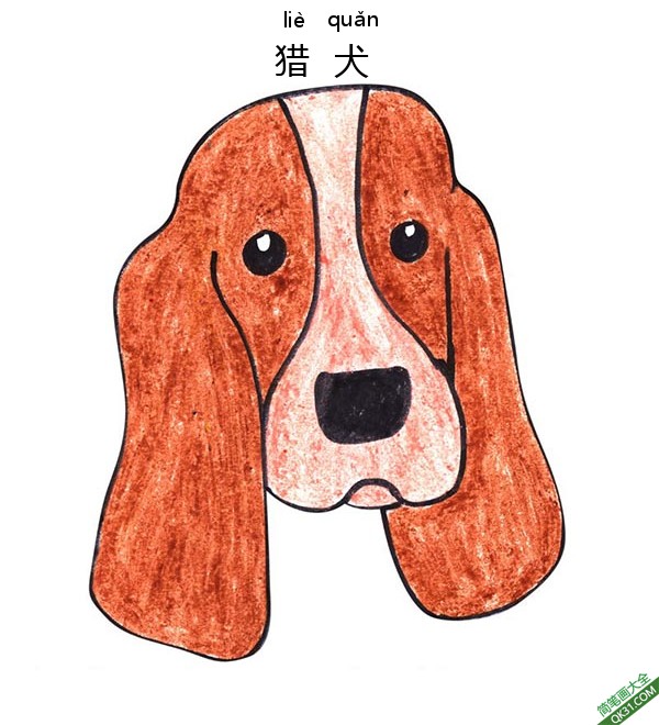 如何为孩子们画一张猎犬的脸Bloodhound Dog Face简笔画