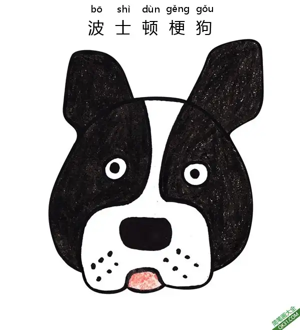 如何为孩子们画波士顿梗狗脸Boston Terrier Dog Face简笔画涂色画 – 为儿童和成人提供的免费可打印简笔画涂色画