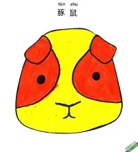 怎样教孩子们一步步画一个豚鼠 天竺鼠 Guinea – 免费可打印简笔画涂色画