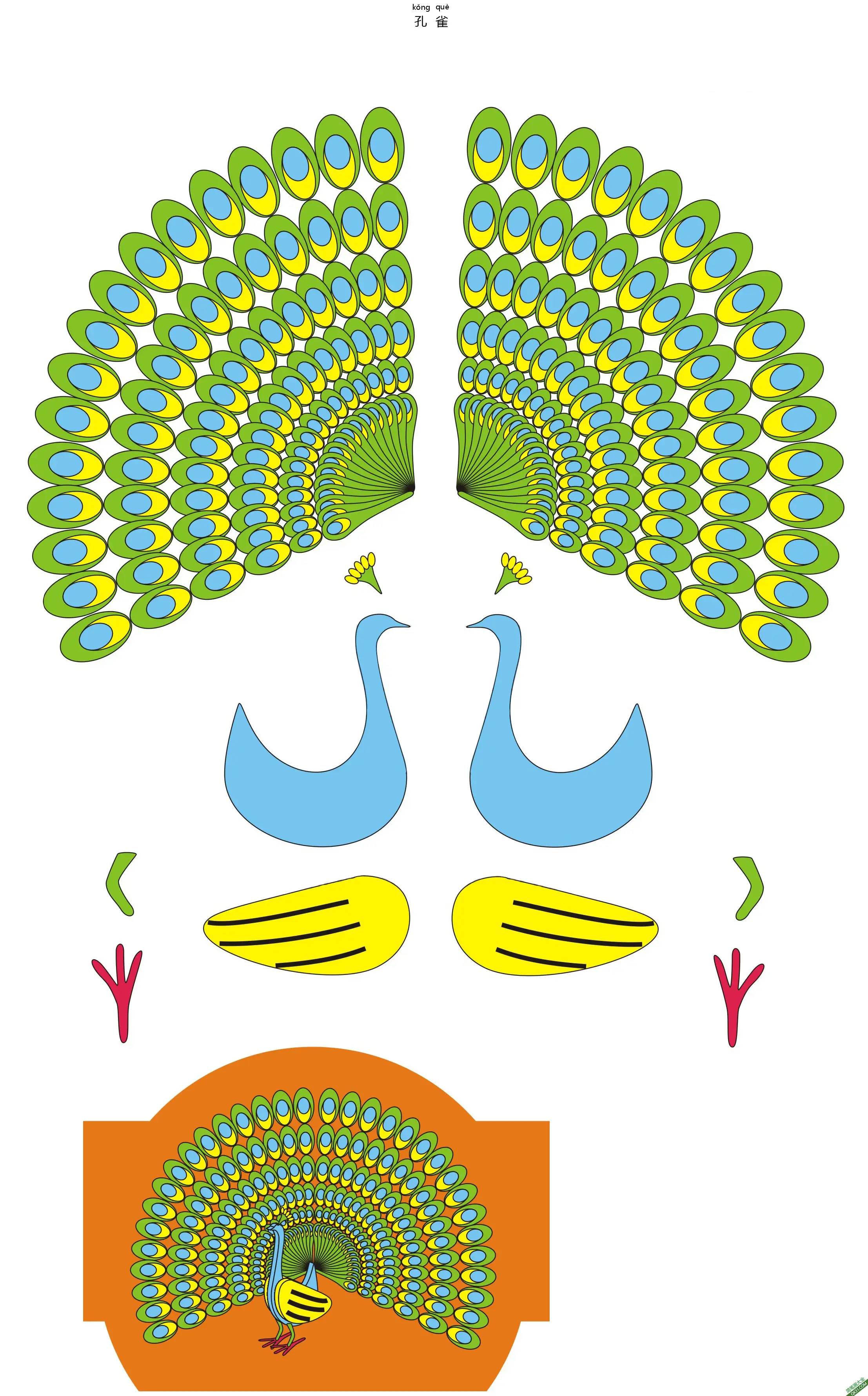 孔雀 小鸟