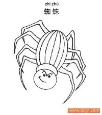 蜘蛛Spider蛛形纲动物 – 免费可打印简笔画涂色画