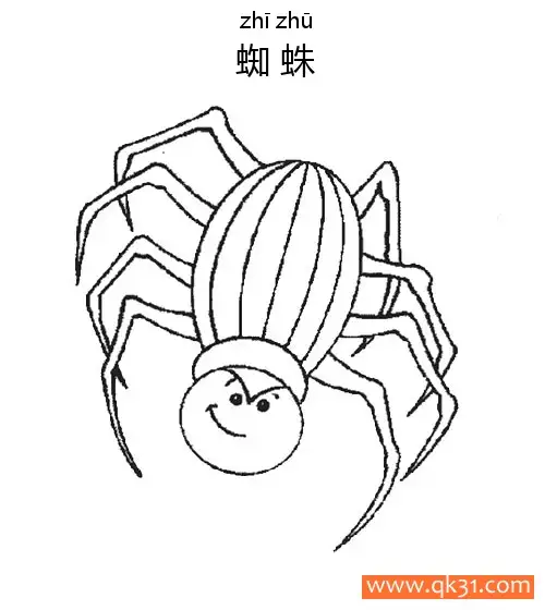 蜘蛛Spider蛛形纲动物简笔画涂色画 – 为儿童和成人提供的免费可打印简笔画涂色画