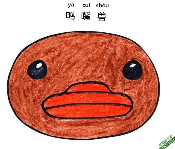 如何教孩子画鸭嘴兽脸Platypus Face简笔画涂色画 – 为儿童和成人提供的免费可打印简笔画涂色画